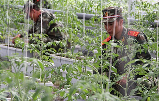 ���Z׃�F(xi��n)��(sh��)����ԭ�ٱ���������